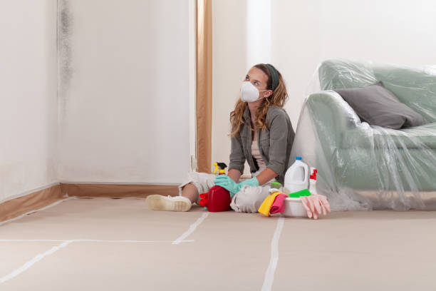 Reliable Mold Remediation contractor in Bloomingdale, GA by WQB Mold Removal